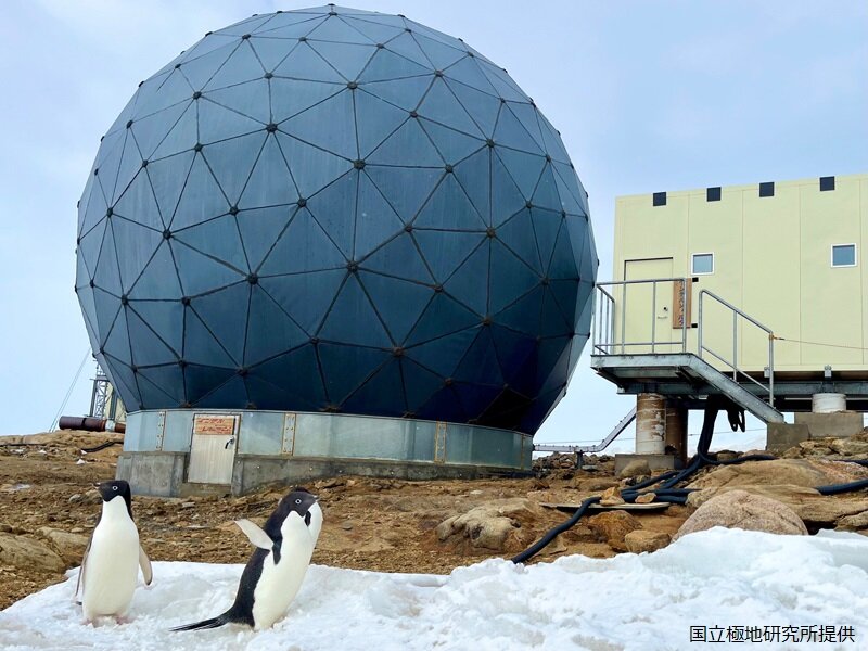 インテルサットアンテナのレドーム間近にペンギンがやってきました