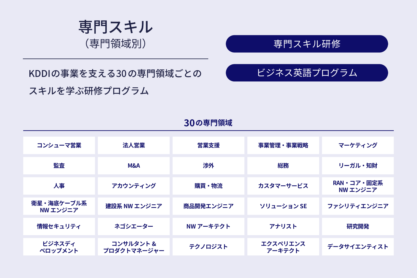 専門スキル KDDIの事業を支える30の専門領域ごとのスキルを学ぶ研修プログラム 専門スキル研修 ビジネス英語プログラム